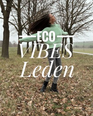 Zahraničních firem by se zákaz nedotknul, jelikož zboží z jiných zemí EU podléhá takzvané “zásadě vzájemného uznávání”, to...