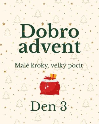 ~ Den 3 🎄! Taška na nákupy je základ, co navíc nic nestojí. Většina z nás má doma hned NĚKOLIK látkových tašek a jestli...